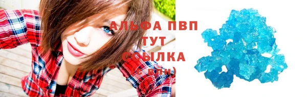 крисы Богданович