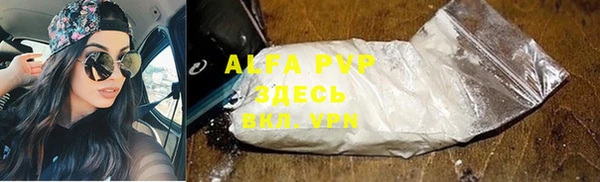 прущие грибы Костерёво