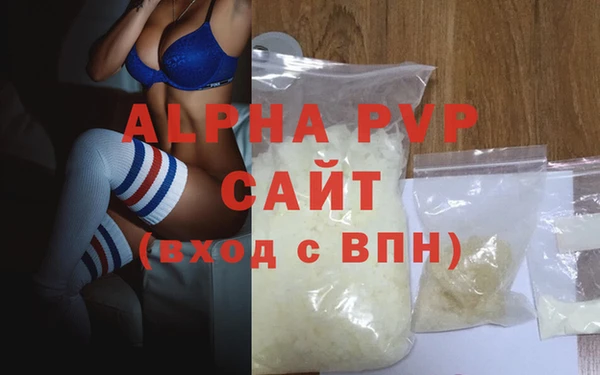 шишки Кодинск