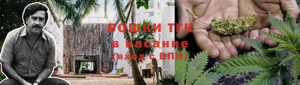 Альфа ПВП Богородск