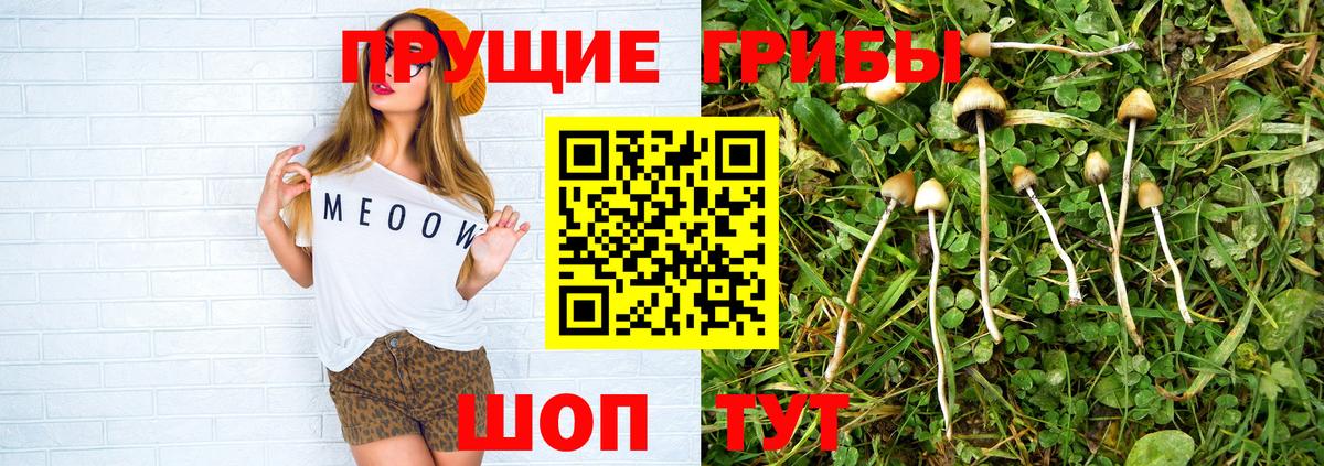 Галлюциногенные грибы GOLDEN TEACHER  Вход с VPN  Десногорск  Псилоцибиновые грибы GOLDEN TEACHER 