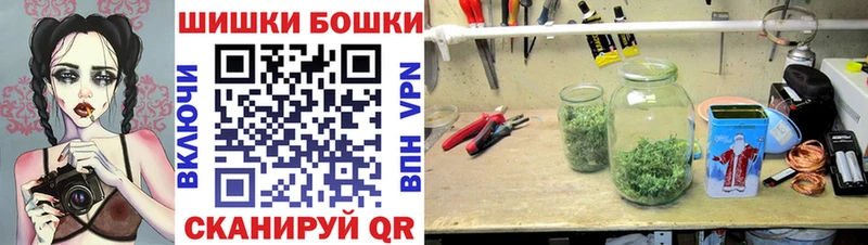 наркошоп  Десногорск  Каннабис индика 