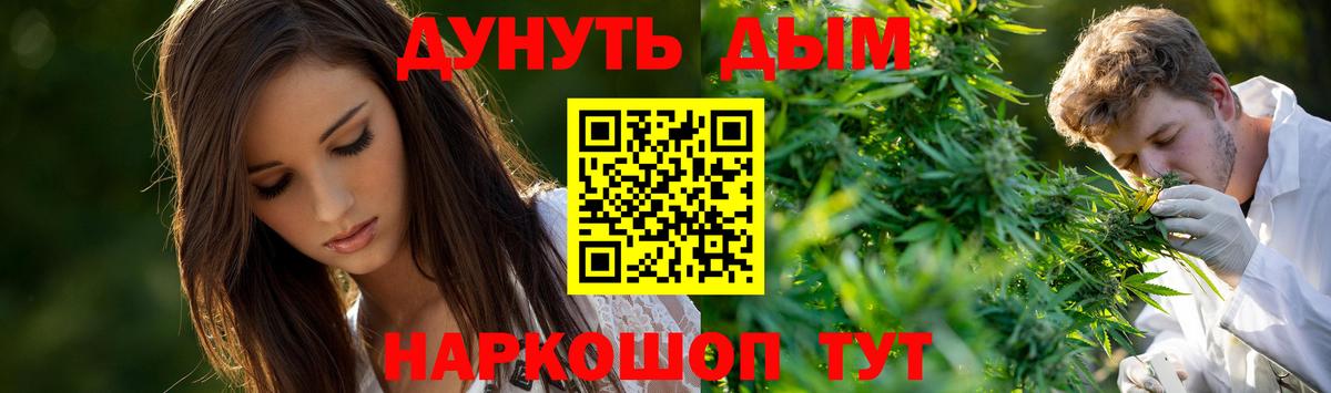 Бошки марихуана Bruce Banner Десногорск